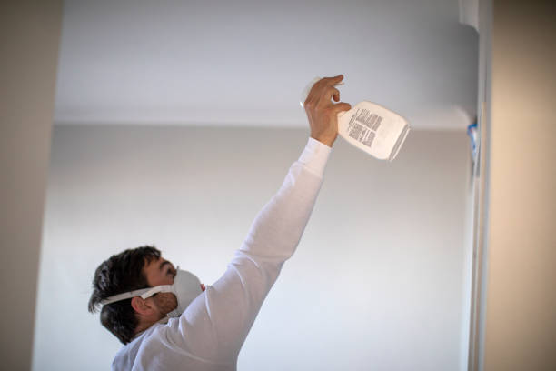 Best Black Mold Removal  in Aiken, SC