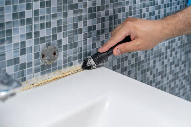 Best Mold Inspection  in Aiken, SC